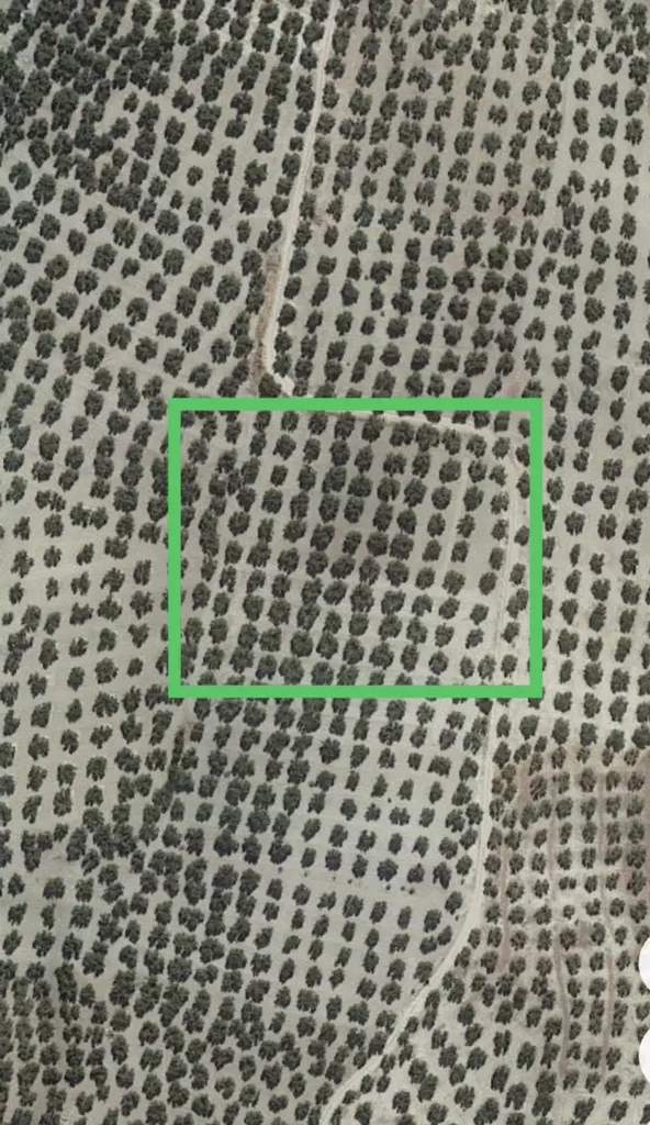 318177888_583322493799182_2062111529766516336_n
