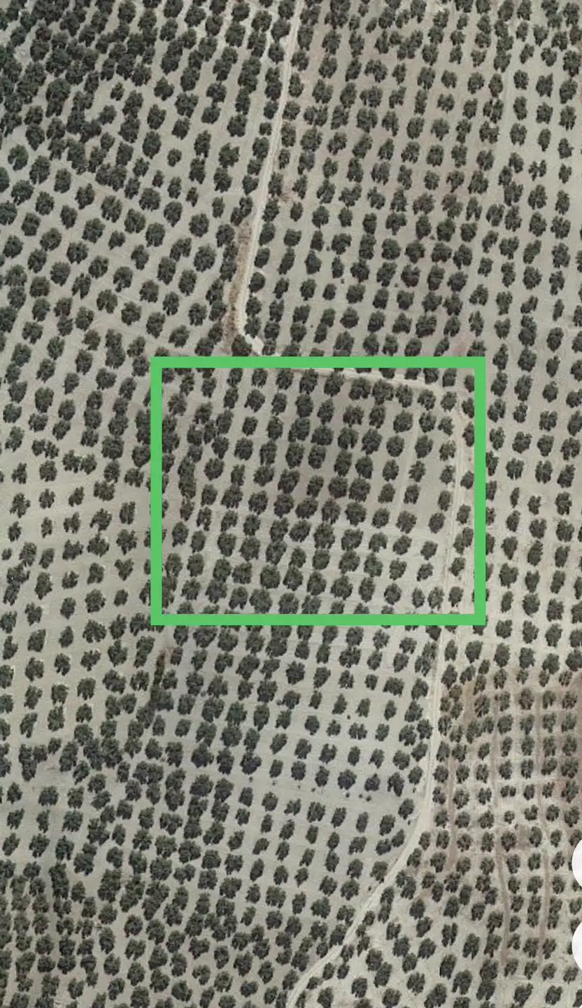 318177888_583322493799182_2062111529766516336_n