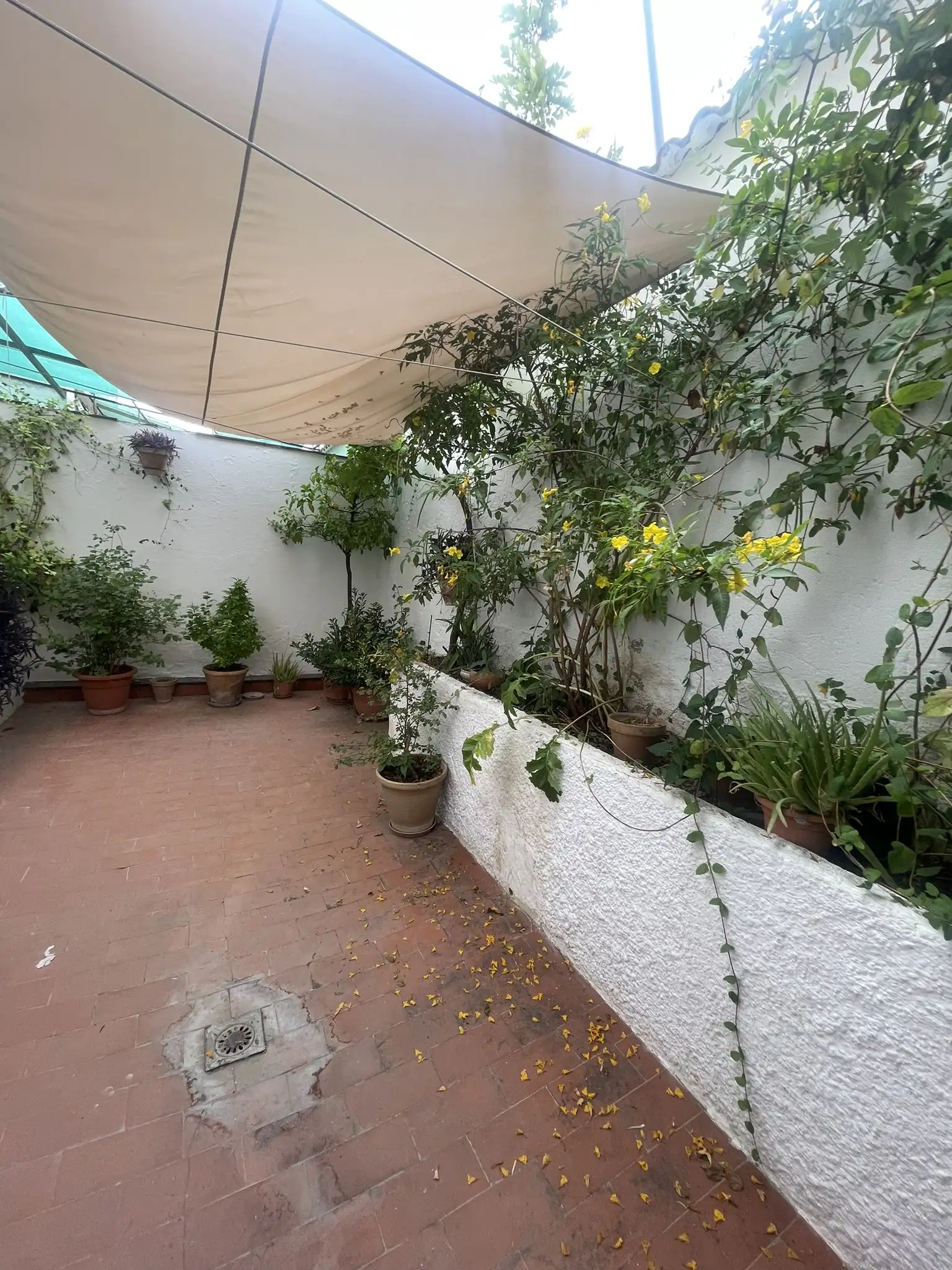 CA00881_17