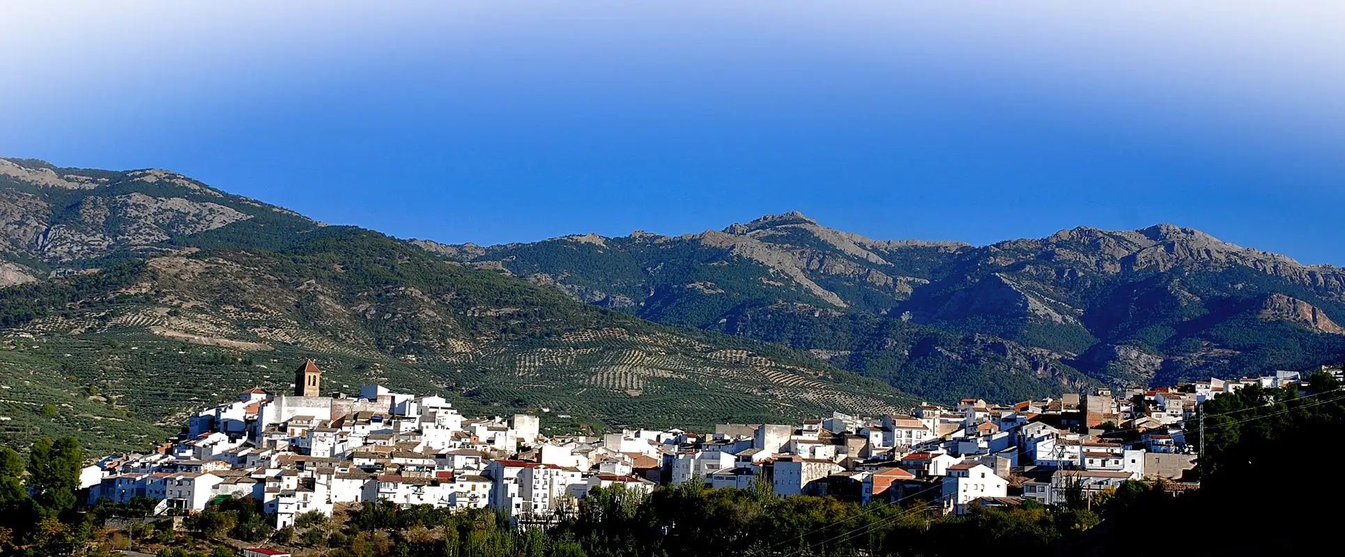 quesada5