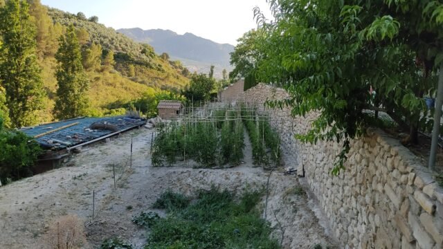 09dd5884-881b-4acf-97e7-598639a275a2