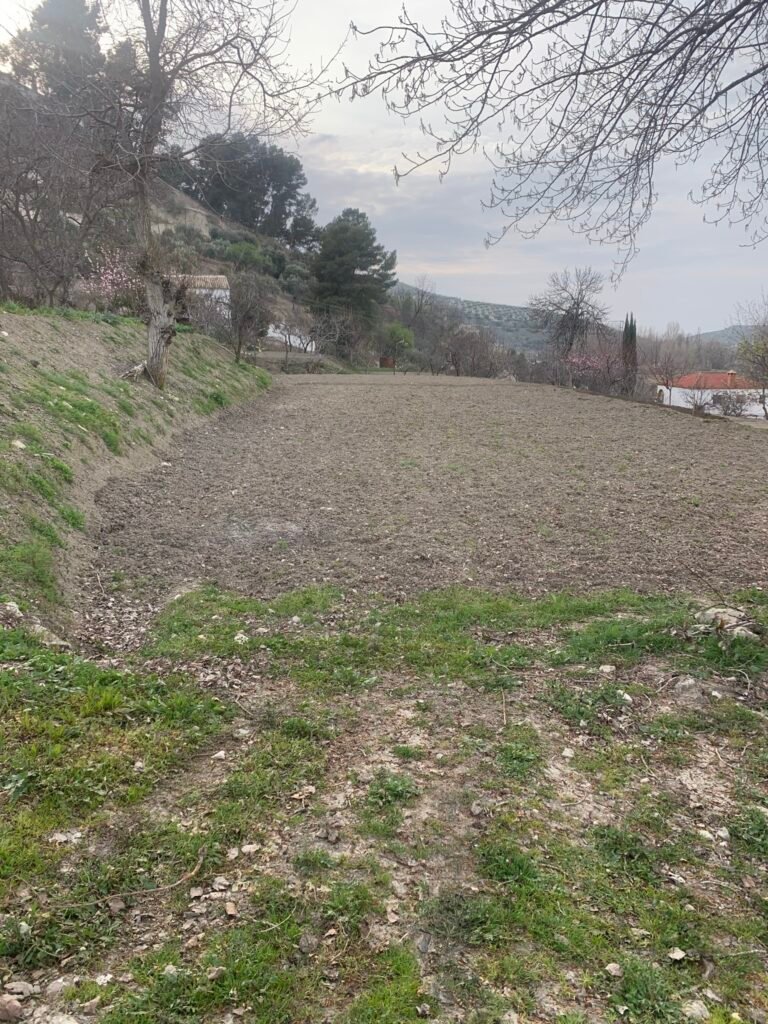 493123407_1265316482266443_4008892676392174251_n