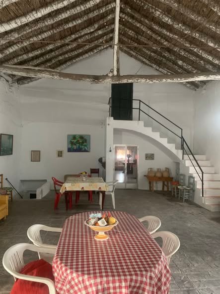 493505341_1265316585599766_7102325186105713680_n