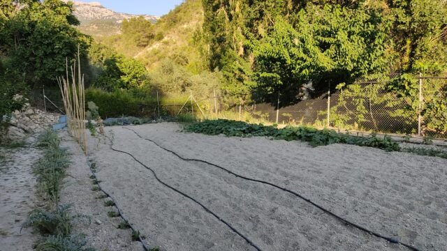 4f373314-8a56-45bf-8183-cb995595133d