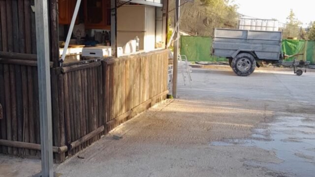 515840859_1328478145950276_7709131720152074464_n – copia