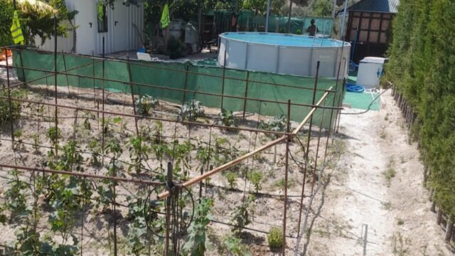 516524214_1328477649283659_7354483935692469135_n – copia