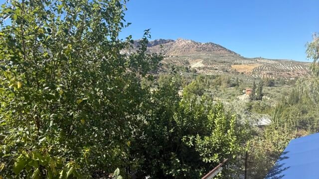 540685626_1383784363752987_5323101330598930825_n