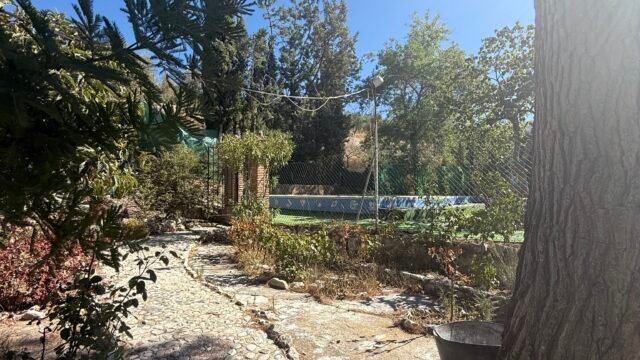 542687928_1383784087086348_8010062543234924444_n