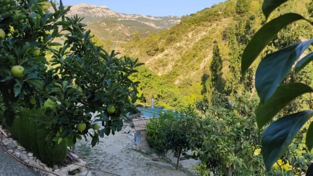 5d5d04ea-805c-4c7e-b235-175a9d06e8f5