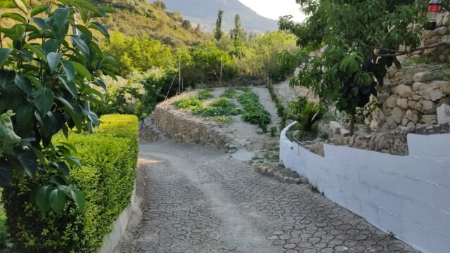 c011e4a3-e100-4064-9374-63f090a632e8