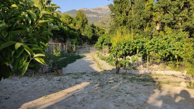 e4d54e15-6615-4054-a941-71329a06f3b0