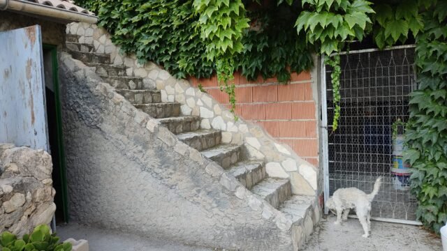 f870428a-a4f0-4b07-bc20-1b912521de72