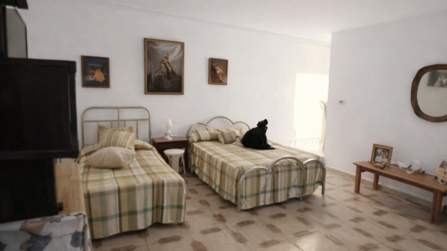 ChatGPT Image 20 feb 2026, 10_57_33