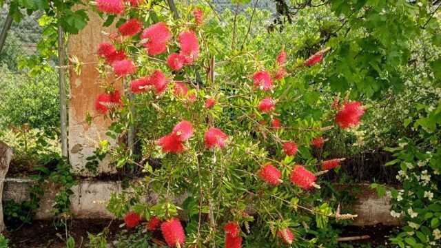 0b8f9dac-1b9a-44c9-8c6d-417bfbe44bb8