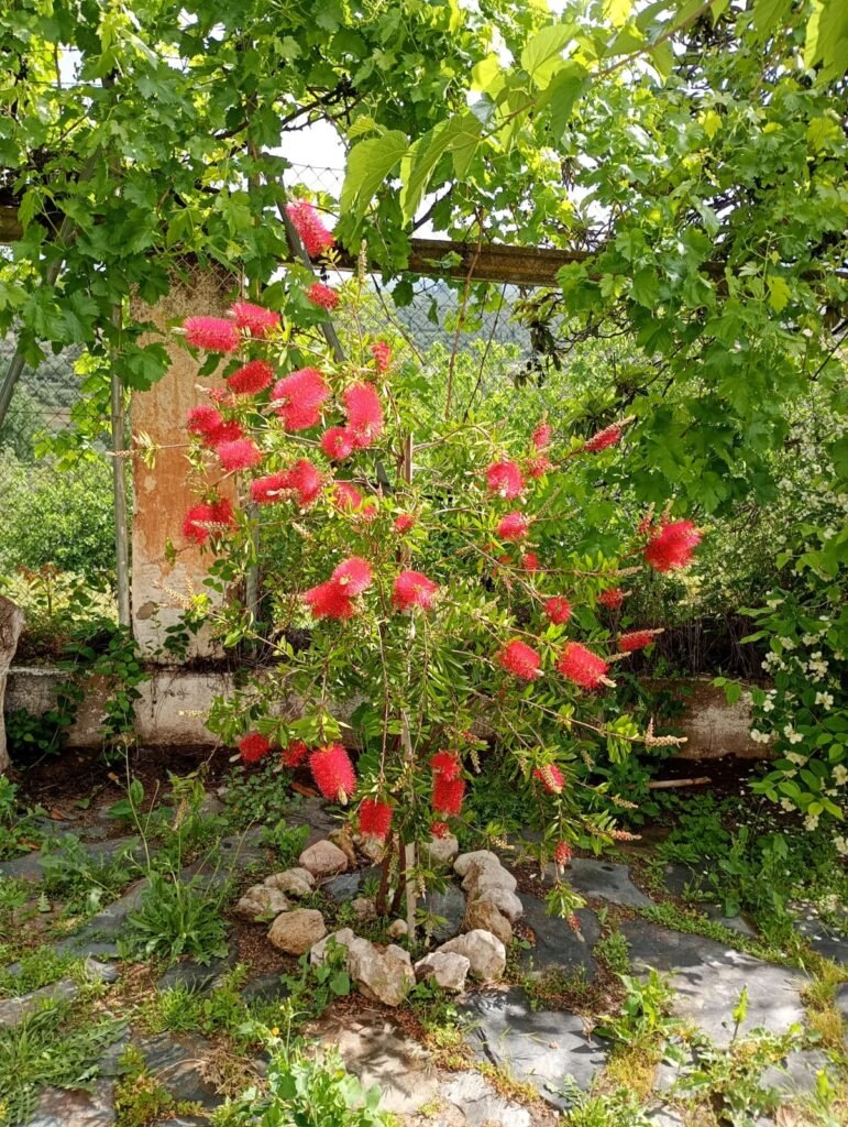 0b8f9dac-1b9a-44c9-8c6d-417bfbe44bb8