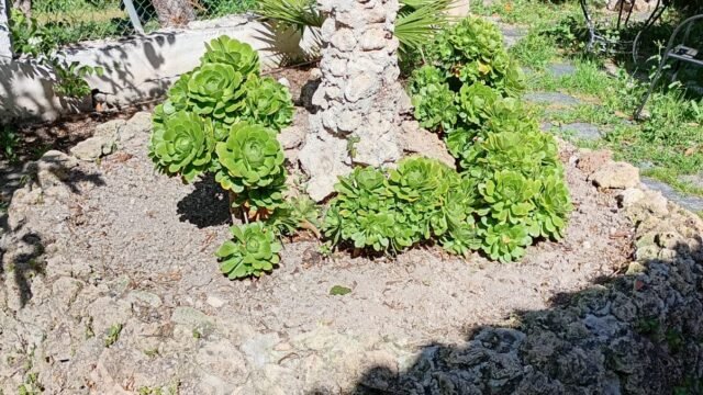 4160a8a8-58d3-4e93-8195-130e10723c52