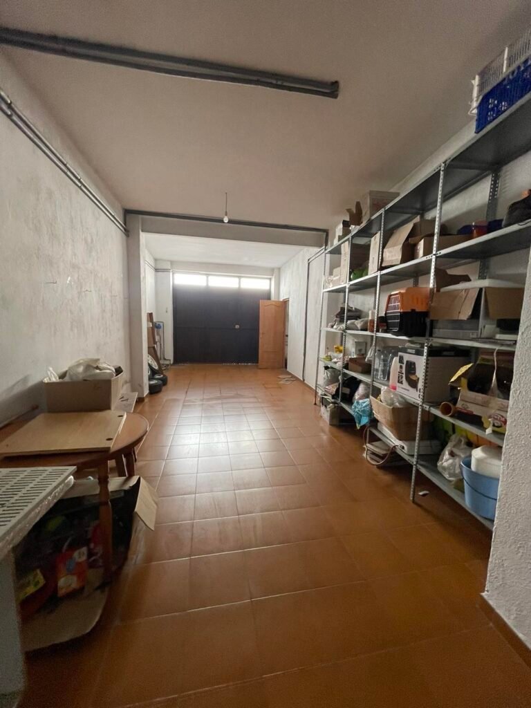 490536806_1255078033290288_6900194202504385016_n