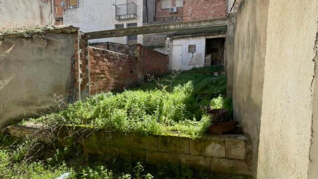 491542410_1255078929956865_5191806288476474517_n