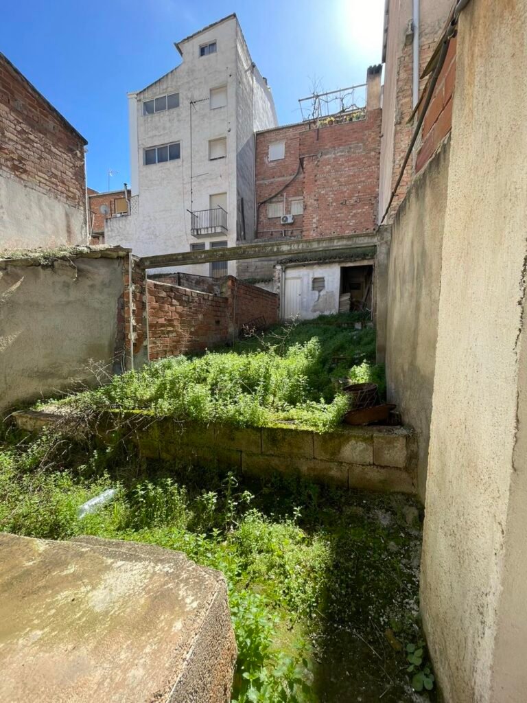 491542410_1255078929956865_5191806288476474517_n