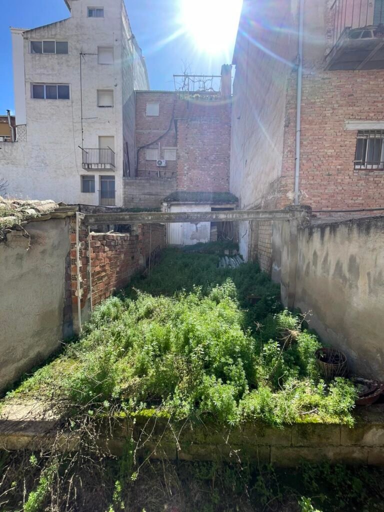 491968495_1255078889956869_3072177720515871327_n