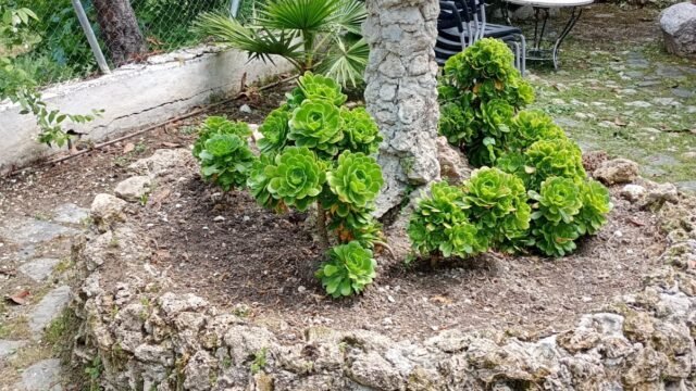 a1d6ba5c-e3c3-4af8-9889-dc49f4e11e27