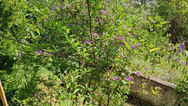 d68eb810-b882-47d0-9402-2efd38e89882