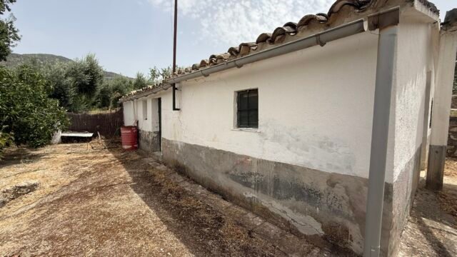 IMG_5301 – copia