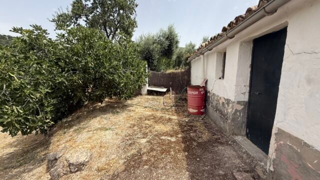 IMG_5302 – copia
